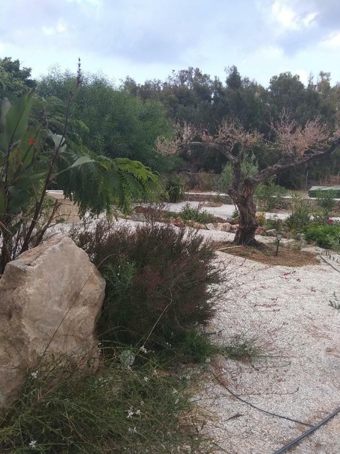 Εmmi Apartment Koutsounári Bagian luar foto
